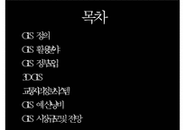 [전자정부론] 지리정보시스템(GIS)-2