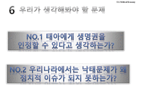[미국정치 경제론] 미국의 낙태문제와 헌법 및 한국의 현황-19