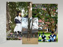 [관광과 문화유산] 전주 한옥마을의 세계문화유산으로서의 가능성-11