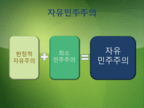 [정치체제론] 비자유 민주주의-선거권위주의와 위임민주주의-6