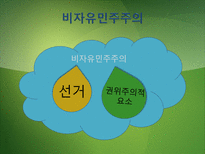 [정치체제론] 비자유 민주주의-선거권위주의와 위임민주주의-7