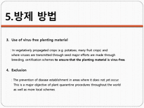 [세포공학] 식물바이러스(Plant Virus)(영문)-20