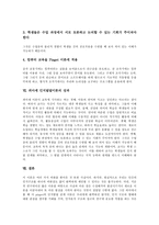 [피아제 인지발달이론]피아제 인지발달이론의 개념,기본단위,성격,교수학습원리, 피아제 인지발달이론의 인지발달내용,적용방법,성과-8
