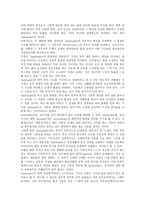 [종교]종교의 개념, 종교의 특징, 종교의 이론, 종교의 역할, 종교의 사회화, 종교와 종교관, 종교와 문화, 종교 관련 제언 분석-8