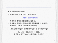 술의 역사와 제조 과정에 대한 분석-8