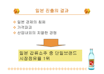 마케팅사례분석,진로의일본시장진출마케팅전략,해외진출마케팅성공사례,해외진출기업성공사례-5