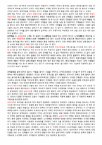중국 대중문화 레포트-4