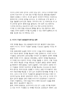 [미디어 기업의 글로벌화] 국내미디어기업의 글로벌 진출을 위한 전략과 현황분석-3