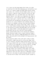 [미디어 기업의 글로벌화] 국내미디어기업의 글로벌 진출을 위한 전략과 현황분석-6