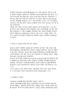 [민영화와 정부조직 개편] 민영화의 개념과 유형 및 사례, 정부조직개편-8