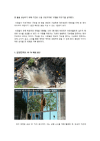 [소비자행동론] 상식을 깨는 마케팅 사례 조사-2