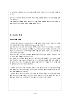 [국제마케팅] 오리온 초코파이 러시아 이문화 극복사례-10