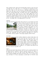 [여행사 경영론] 울산&대구 시티투어 현황과 발전방안-7