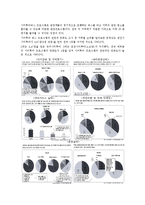 [여행사 경영론] 울산&대구 시티투어 현황과 발전방안-12