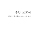 [무역학] 인도시장 비데사업 진출전략-1