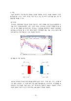[국제경영] FX Margin Trading - FX마진거래-16