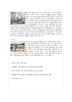 [관광경영학] 가족과 함께 떠나는 주말 트레킹&온천 여행-4