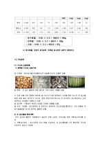 [외식 경영] 단체급식, 군대급식분석-군대급식의 현실태와 문제점, 해결방안-4