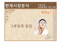 [마케팅조사론] 스킨푸드 남성화장품 시장 진출 전략-9