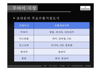 [국제마케팅] 로만손 성공요인 분석-ERIS모델-11