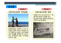 [소비자행동론] Maslow 욕구 계층 이론과 광고가 소비자에게 미치는 영향-8