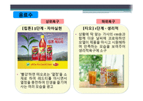 [소비자행동론] Maslow 욕구 계층 이론과 광고가 소비자에게 미치는 영향-10