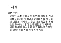 [경영학] 사회적 기업 정부지원 사례 및 문제점과 과제-17