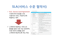 [경영학원론] IT 아웃소싱 관리-6