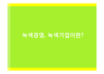 [경영학] 녹색경영과 녹색기업-3