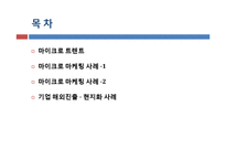 [소비자학] 마이크로 마케팅 기업의 현지화 사례전략-2