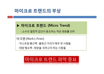 [소비자학] 마이크로 마케팅 기업의 현지화 사례전략-6