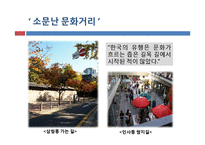 [소비자학] 마이크로 마케팅 기업의 현지화 사례전략-11