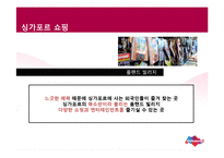 [관광학] 싱가포르 관광기구 및 정책 SWOT 분석-9