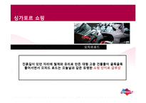 [관광학] 싱가포르 관광기구 및 정책 SWOT 분석-10