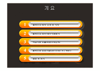 [국제경영] Walmart월마트 경영전략과 한국공략-2