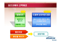 [경영학] 웅진코웨이 마케팅 성공전략-2