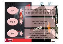 [기업정보분석] 금호타이어와 한국타이어의 재무분석-19