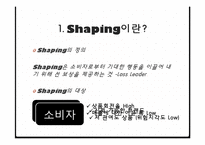 [소비자행동론] Shaping을 이용한 마케팅 전략 수립-3