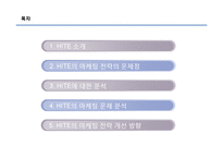 [소비자행동분석] HITE 마케팅전략의 문제점과 해결전략-2