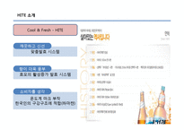 [소비자행동분석] HITE 마케팅전략의 문제점과 해결전략-3