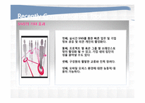 [비즈니스 커뮤니케이션] 기업의 효과적인 커뮤니케이션 도구-10