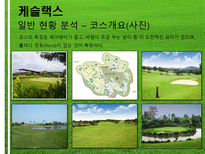 [여가산업론] 한국 골프장 문제점과 해결방안-15