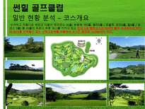 [여가산업론] 한국 골프장 문제점과 해결방안-19