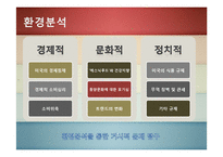 [국제마케팅] 문화마케팅-한국 전통 `떡`의 대미 수출 전략-12