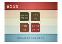 [국제마케팅] 문화마케팅-한국 전통 `떡`의 대미 수출 전략-18