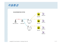 [경영학] 정보시스템의 도입사례-BIS분석-17