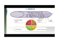 [해외시장조사] 러시아 인터넷산업-9