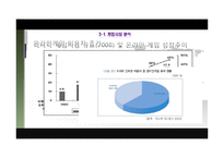 [해외시장조사] 러시아 인터넷산업-12