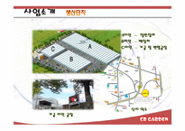 [국제경영] 장미 생산&가공&판매 태국 시장 진출 전략-9
