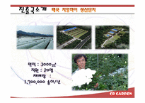 [국제경영] 장미 생산&가공&판매 태국 시장 진출 전략-18